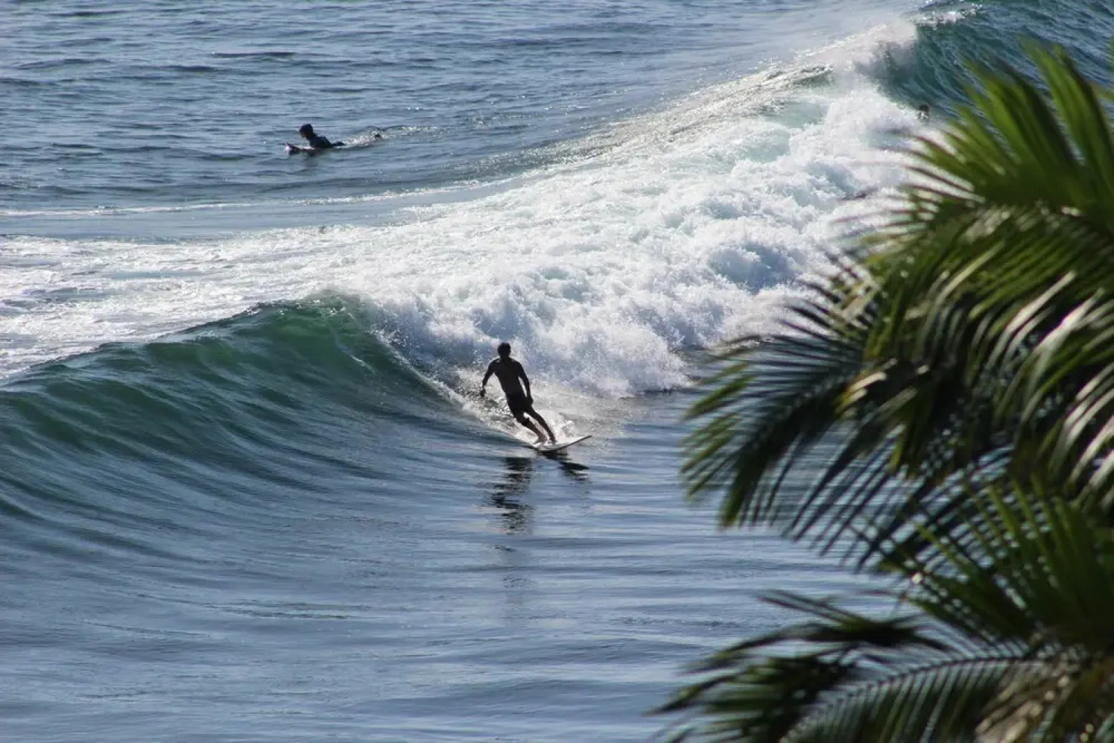 希洛火努利湾住宿加早餐旅馆(Hilo Honolii Bay Bed and Breakfast)