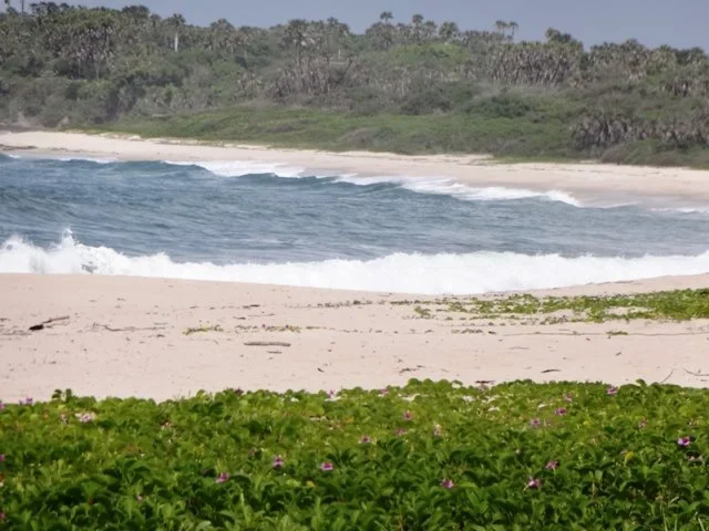 Changani Beach Cottages