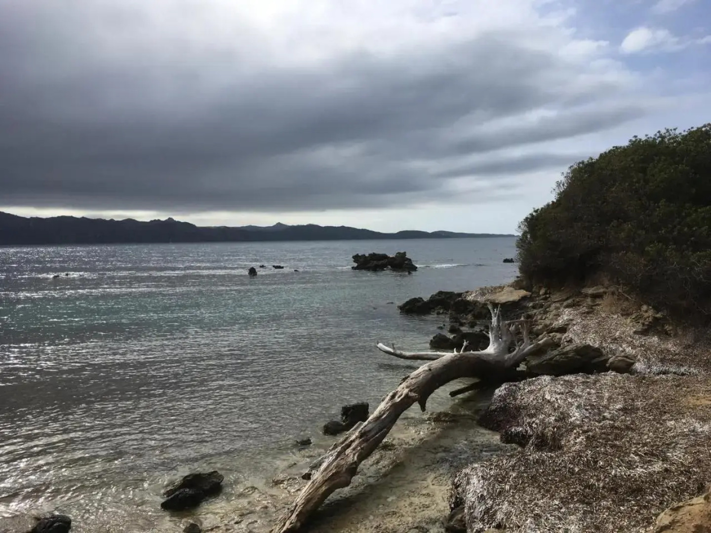 Les Marines Du Soleil