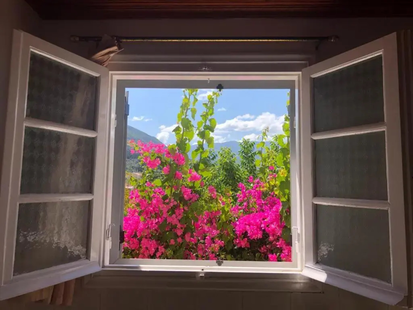 Tilde on the beach, Apts - Sami Kefalonia