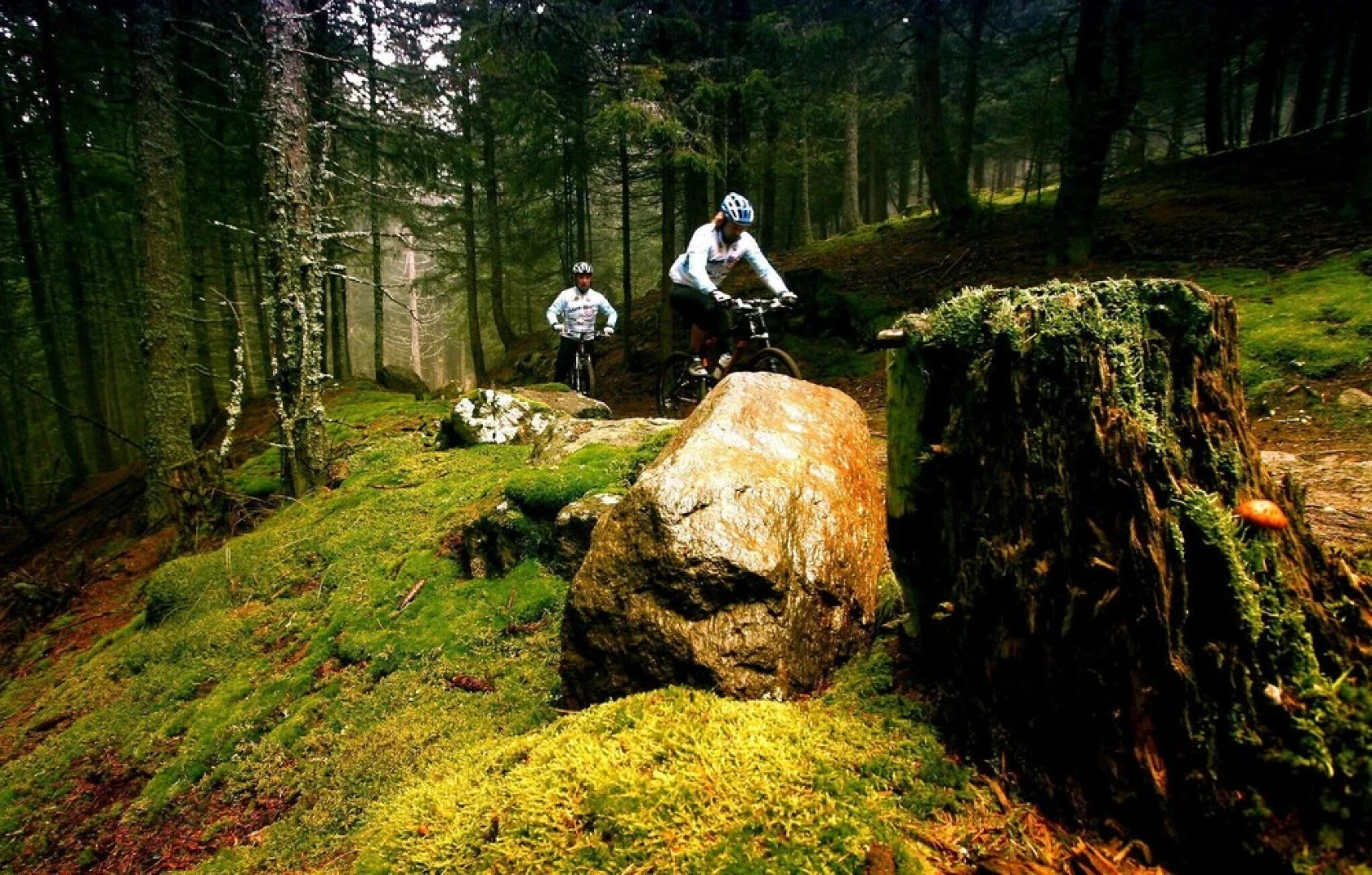 Nice Home in Montegiovi With Wifi and 1 Bedrooms