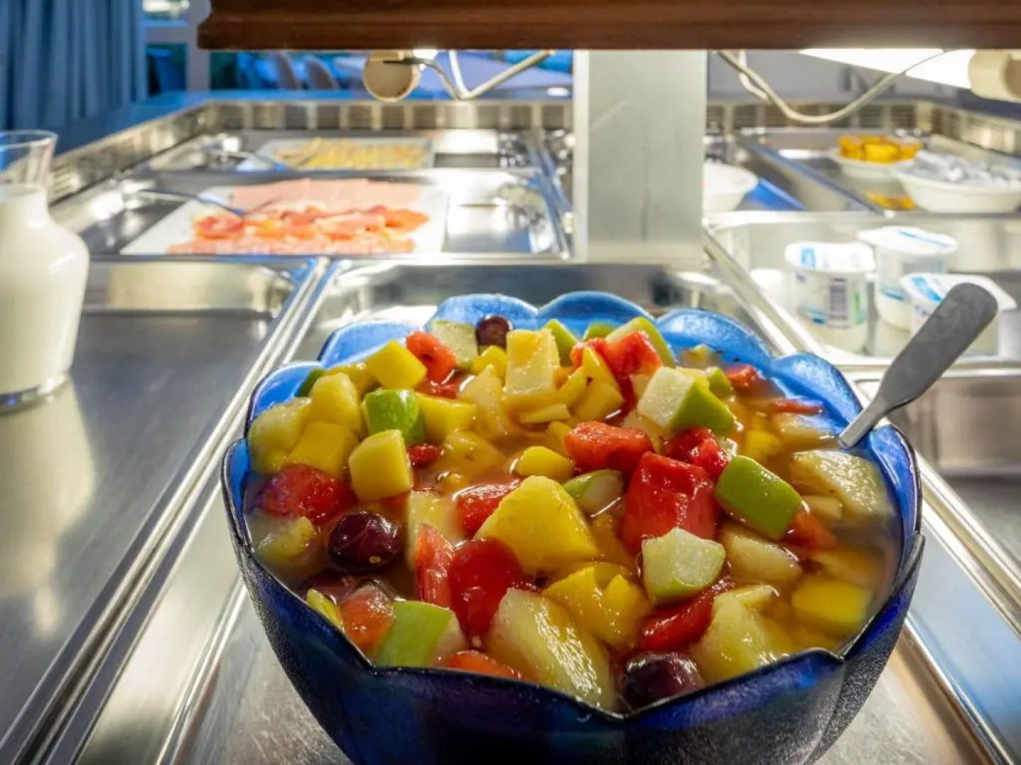 Noemys Viviers du Lac