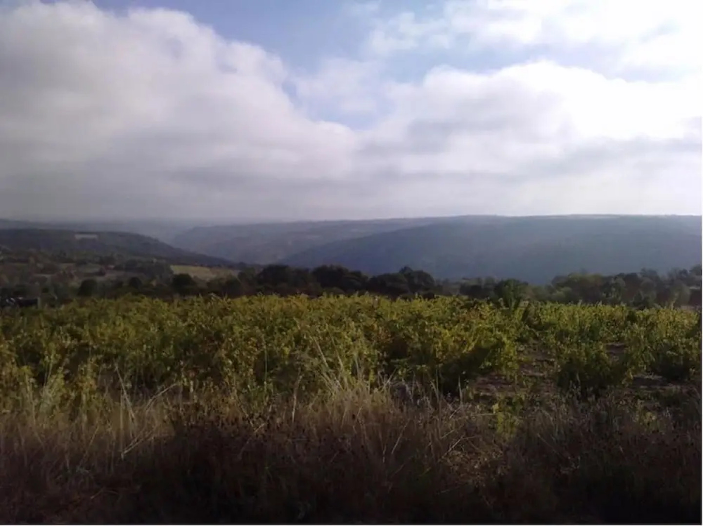 Apartment With one Bedroom in Aldeia Nova, With Pool Access, Enclosed