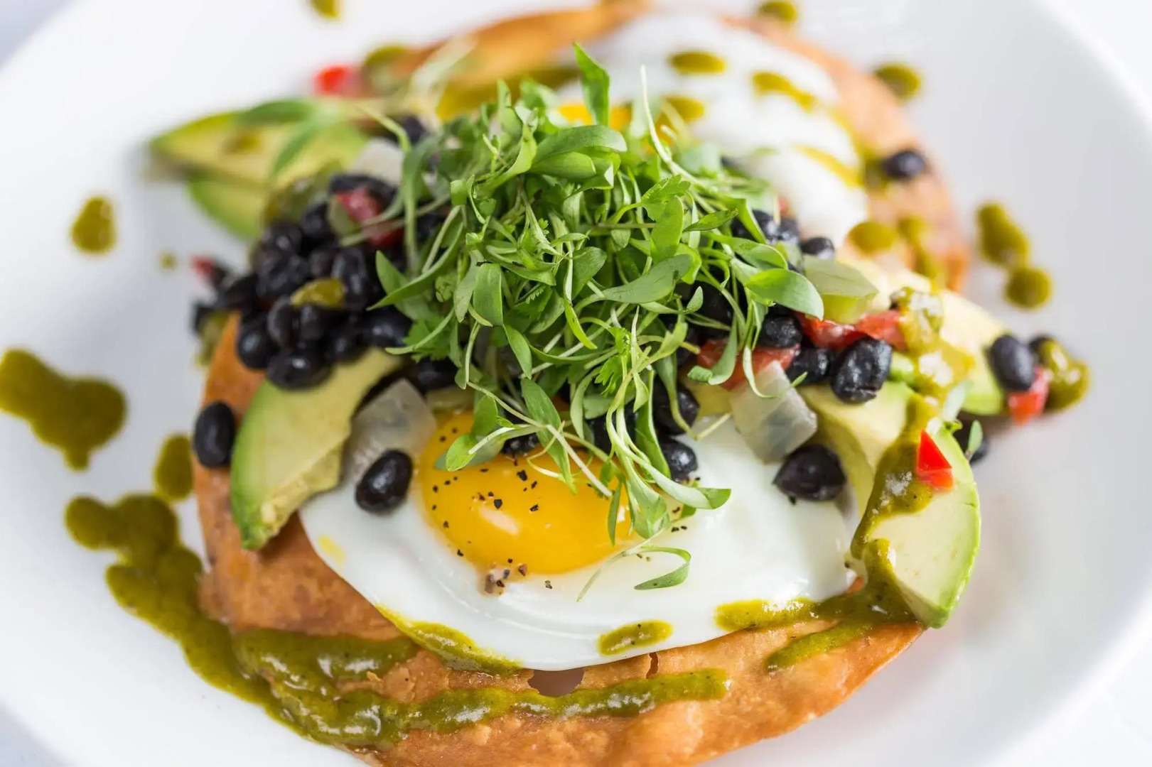 Sea Palms Resort St Simons Island