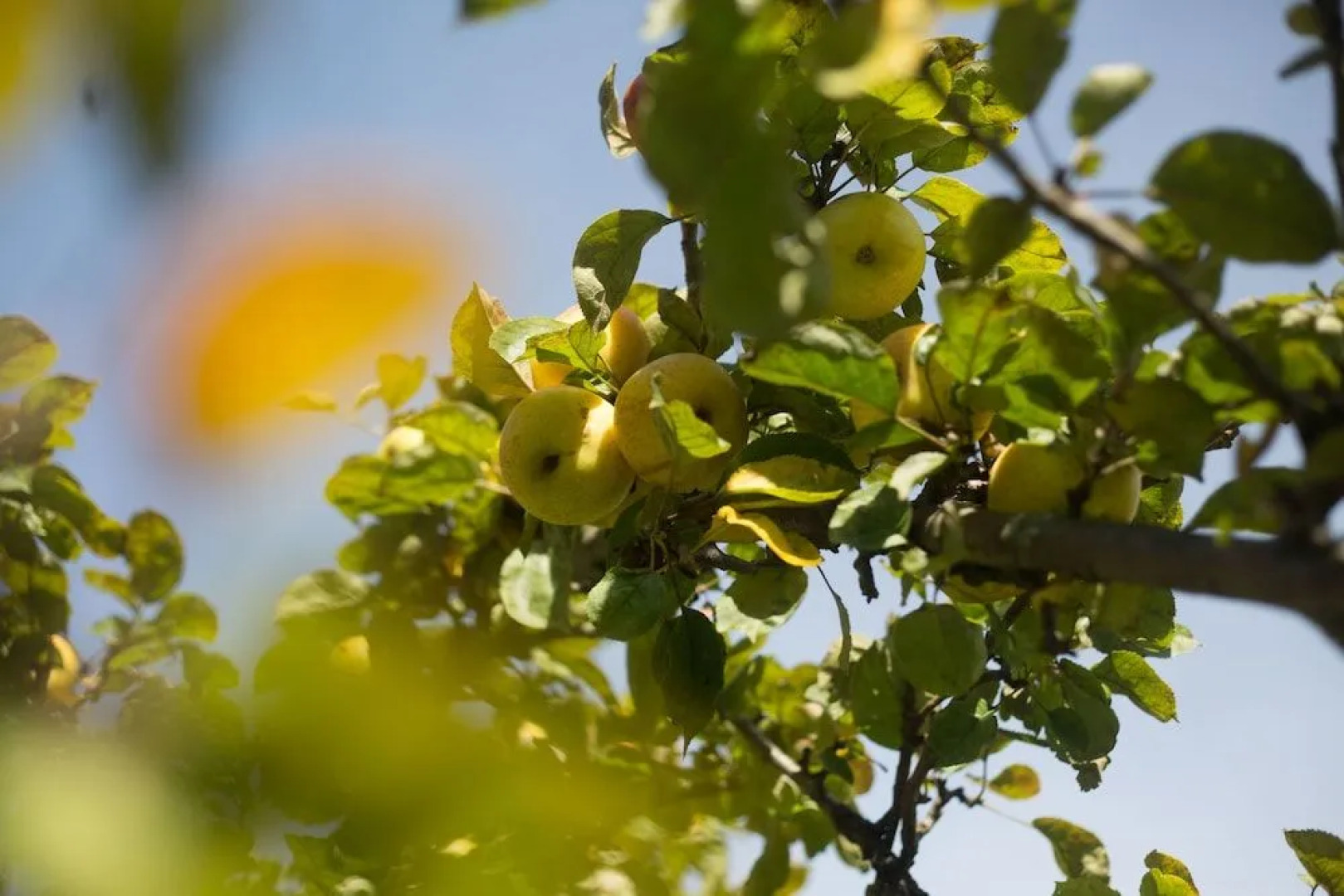 Punta Piedras Lodge & Marina