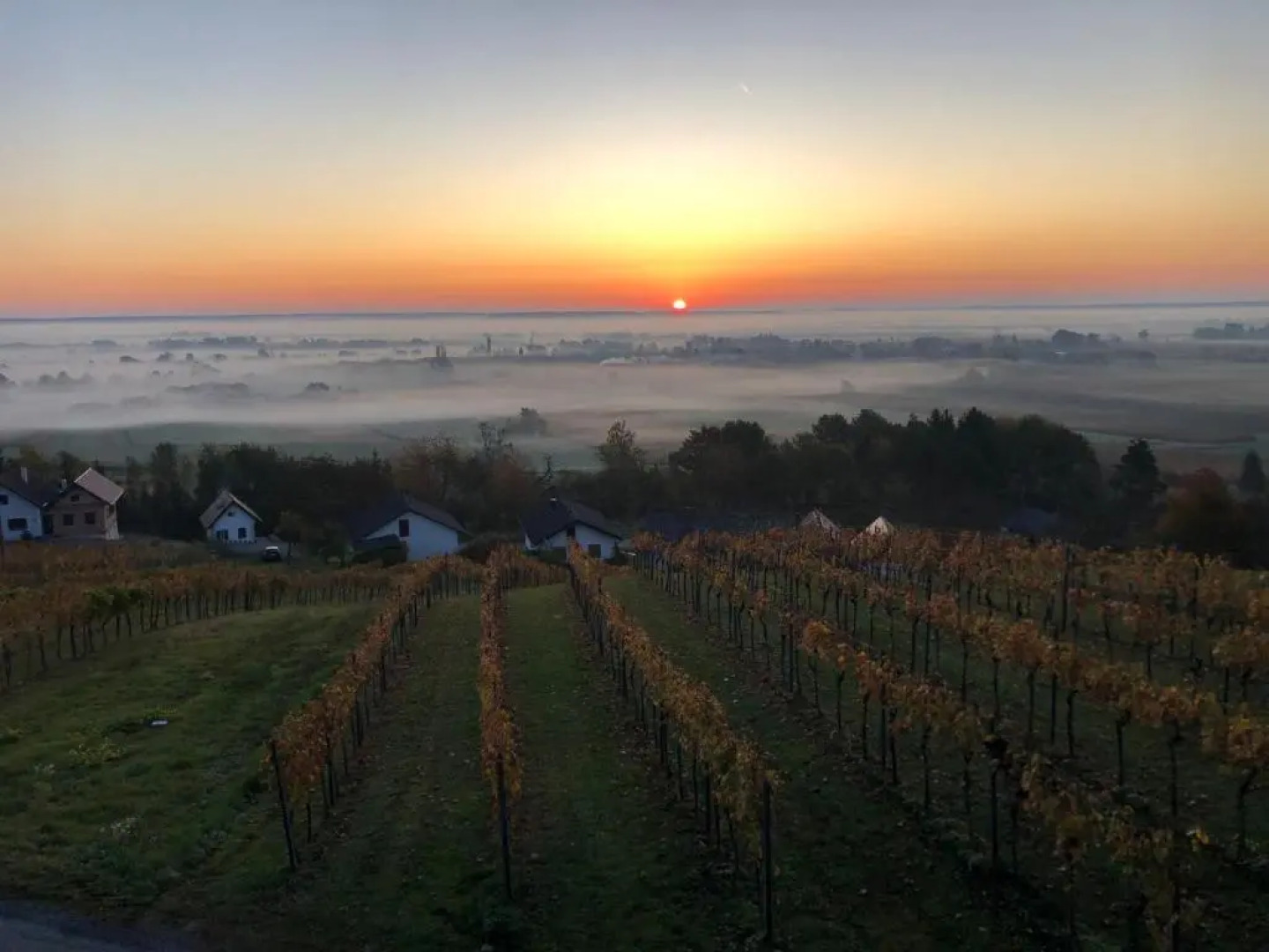 Kellerstockl Naturoase Gaas