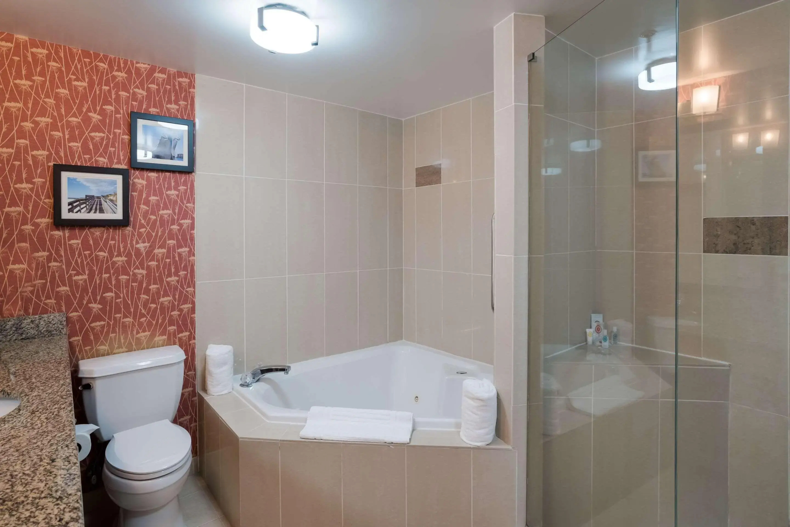 Comfort Suites Suffolk - Chesapeake