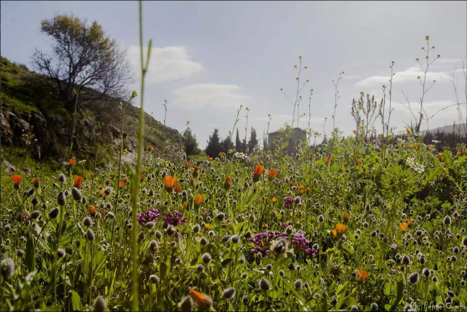 Agriturismo Duca di Pietratagliata