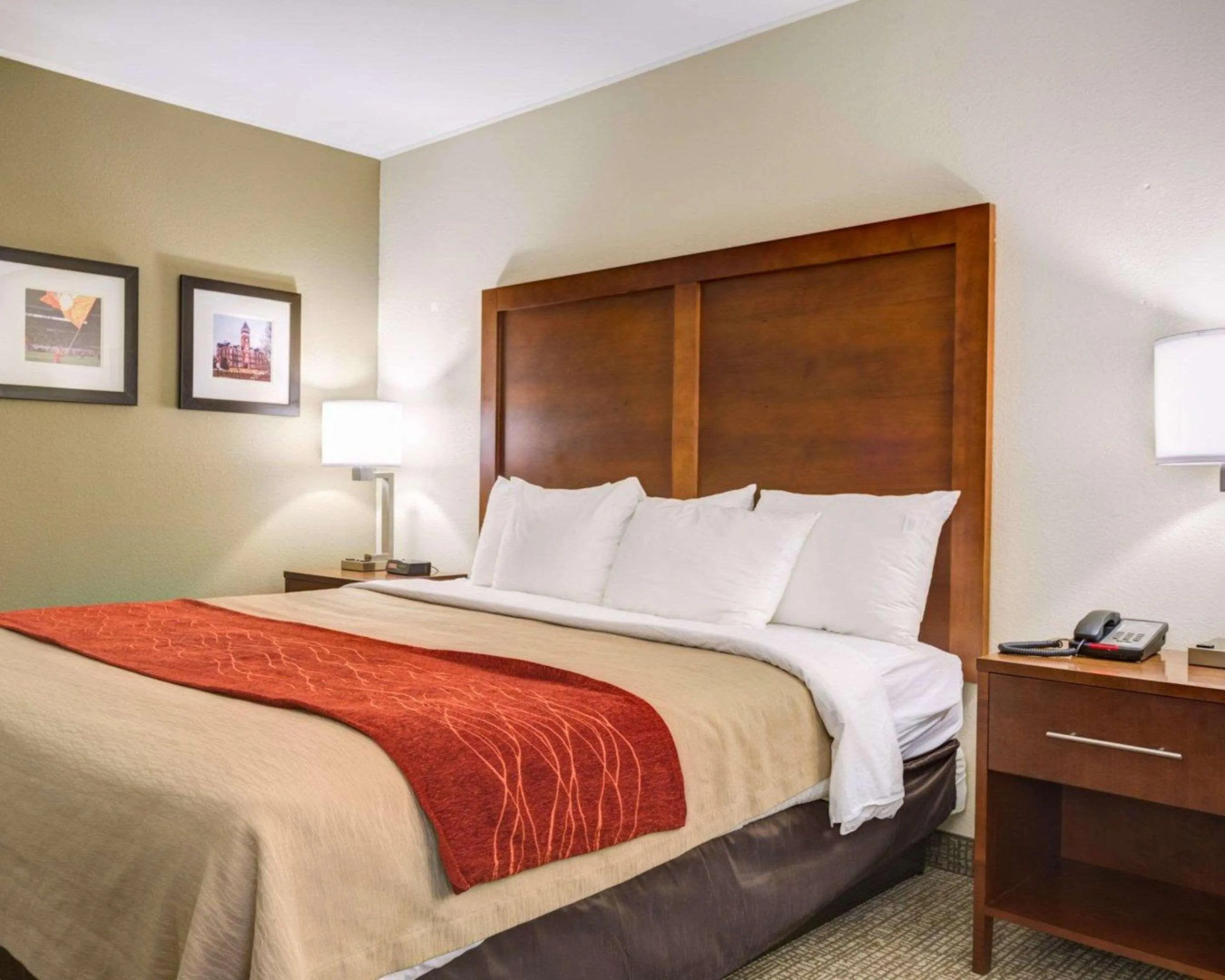 Comfort Inn & Suites Clemson - University Area