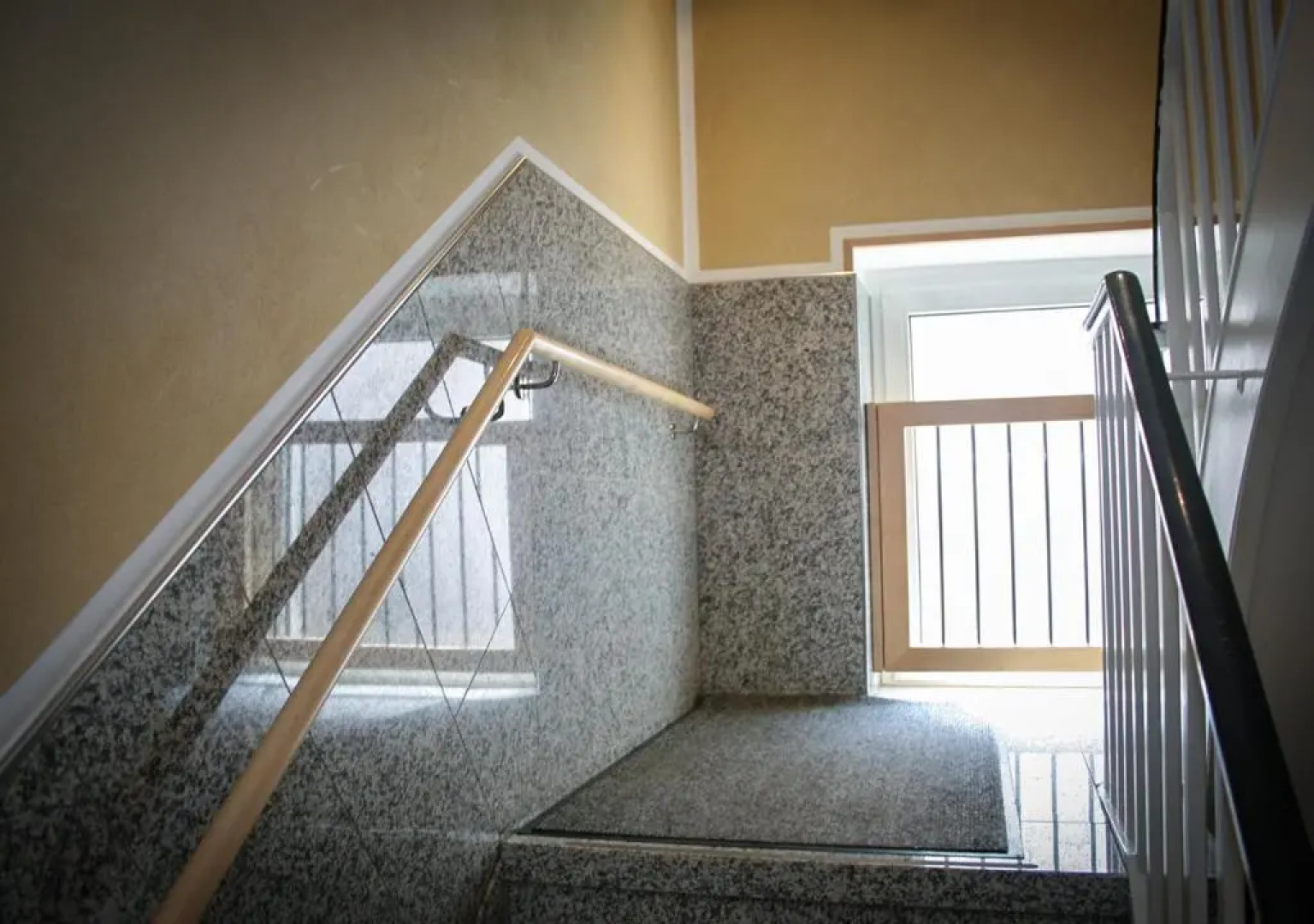 Ringeltaube – Wohnen wie zu Hause