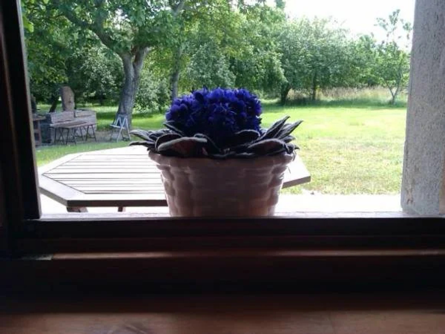 Hotel Coto del Pomar