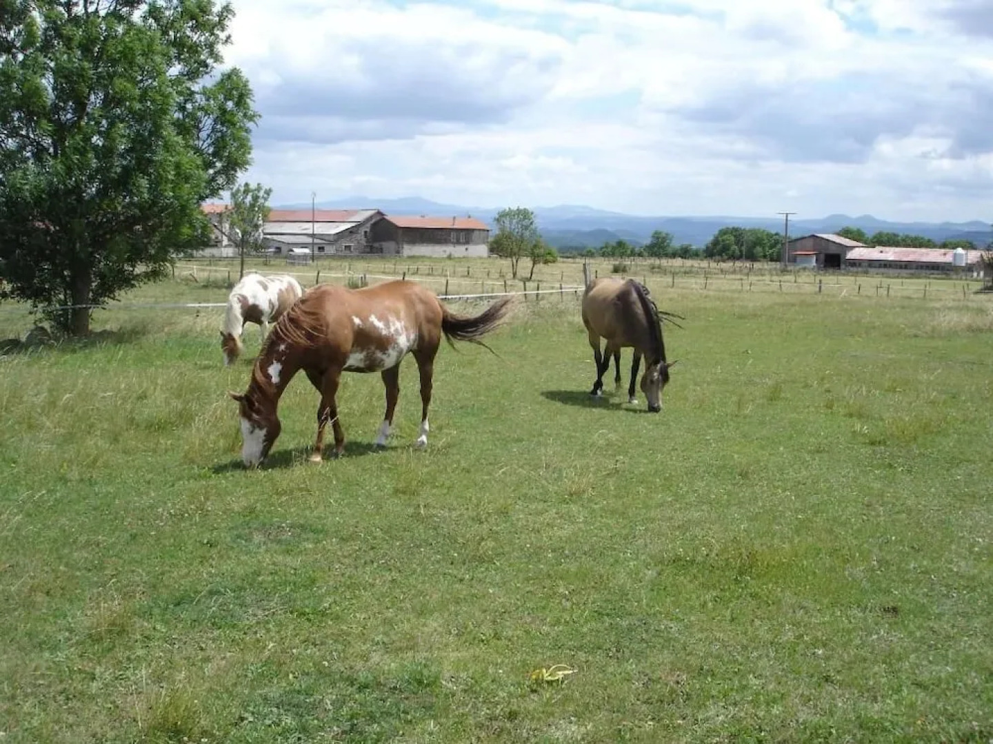 Appartement Au bon Gré d'Hugoline
