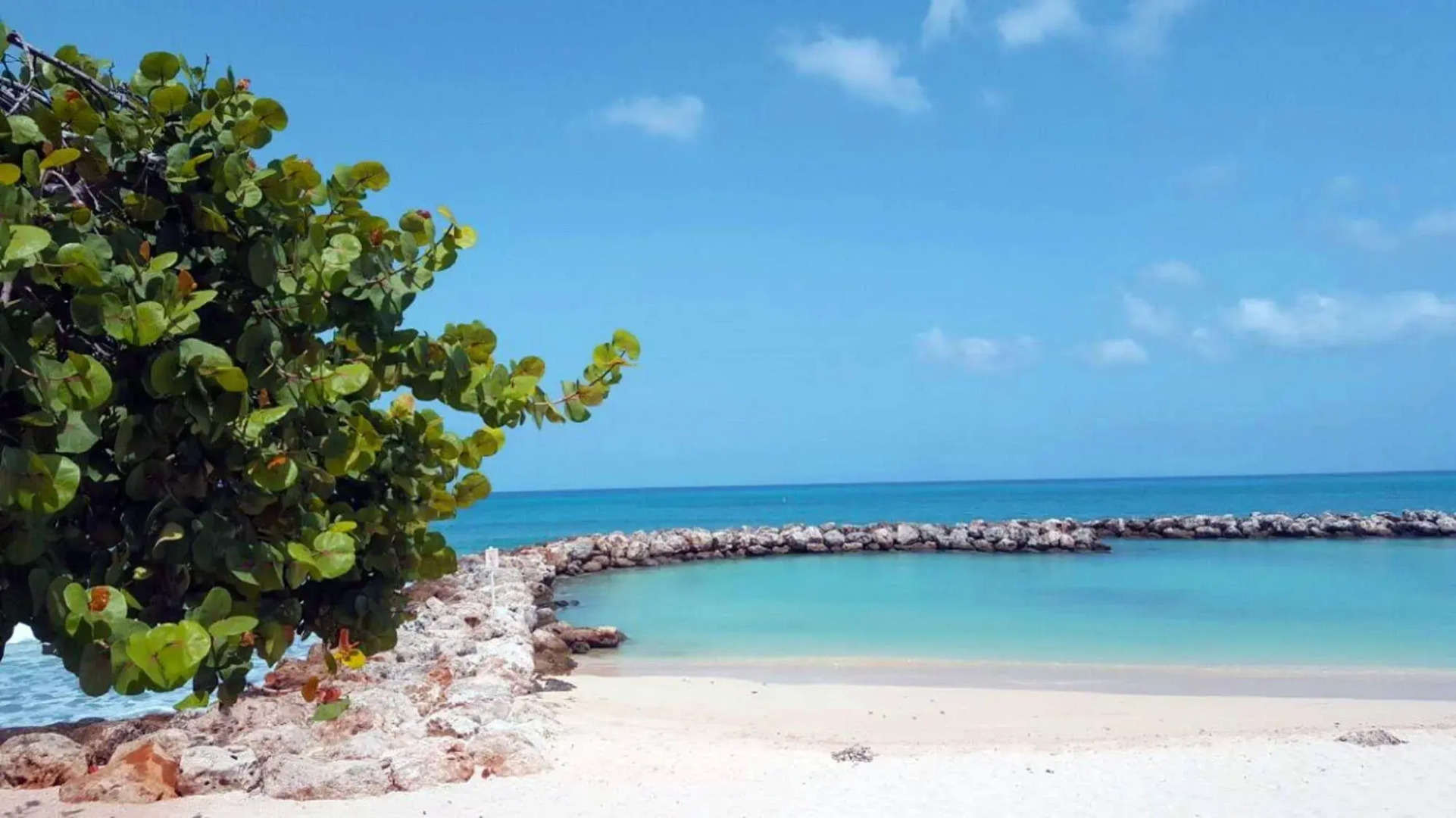 Margaritaville Beach Resort Grand Cayman