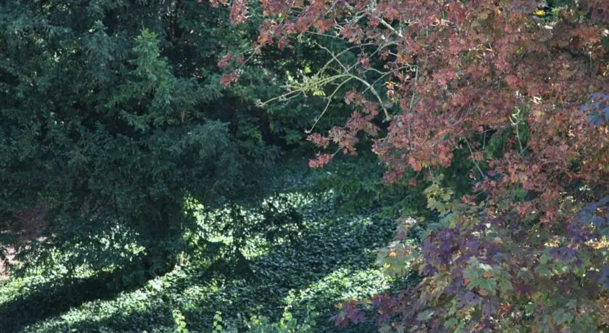 Chambre dhôtes des Sacres