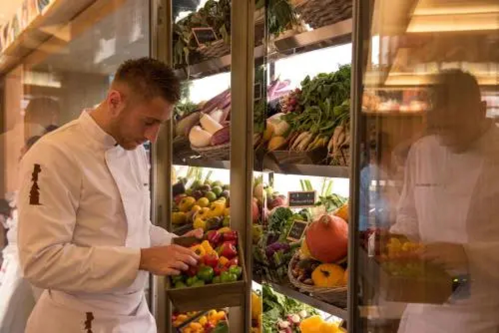 Brach Paris - Evok Collection