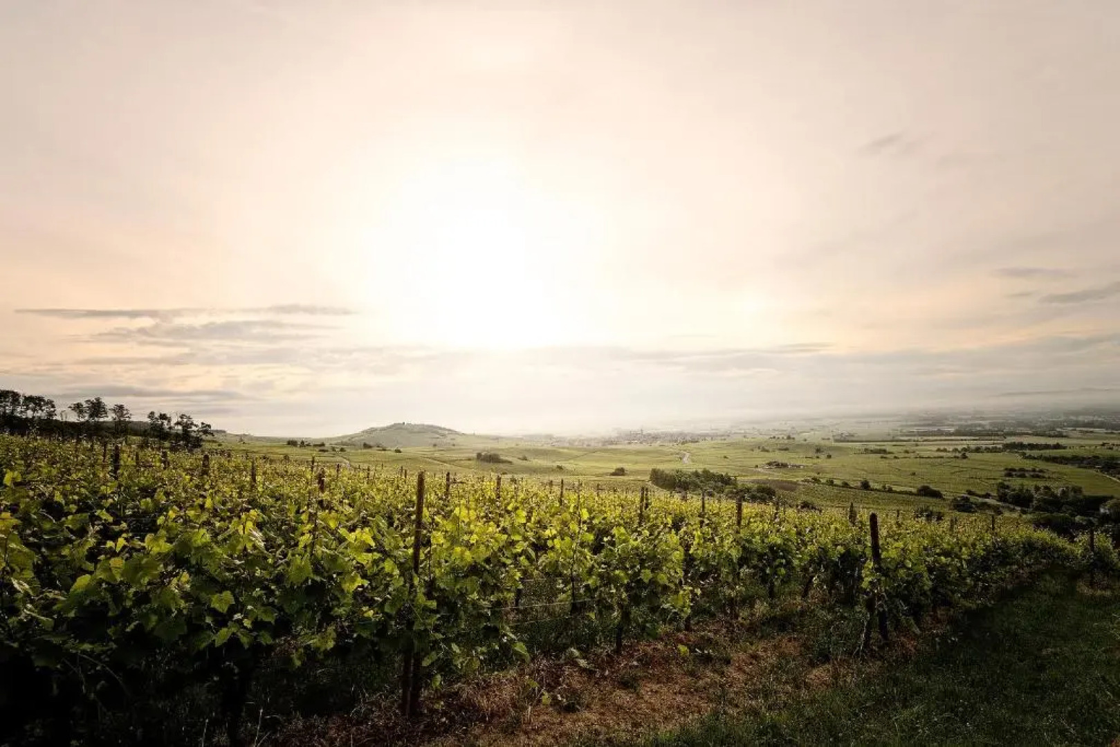 Pêche de Vigne & Spa