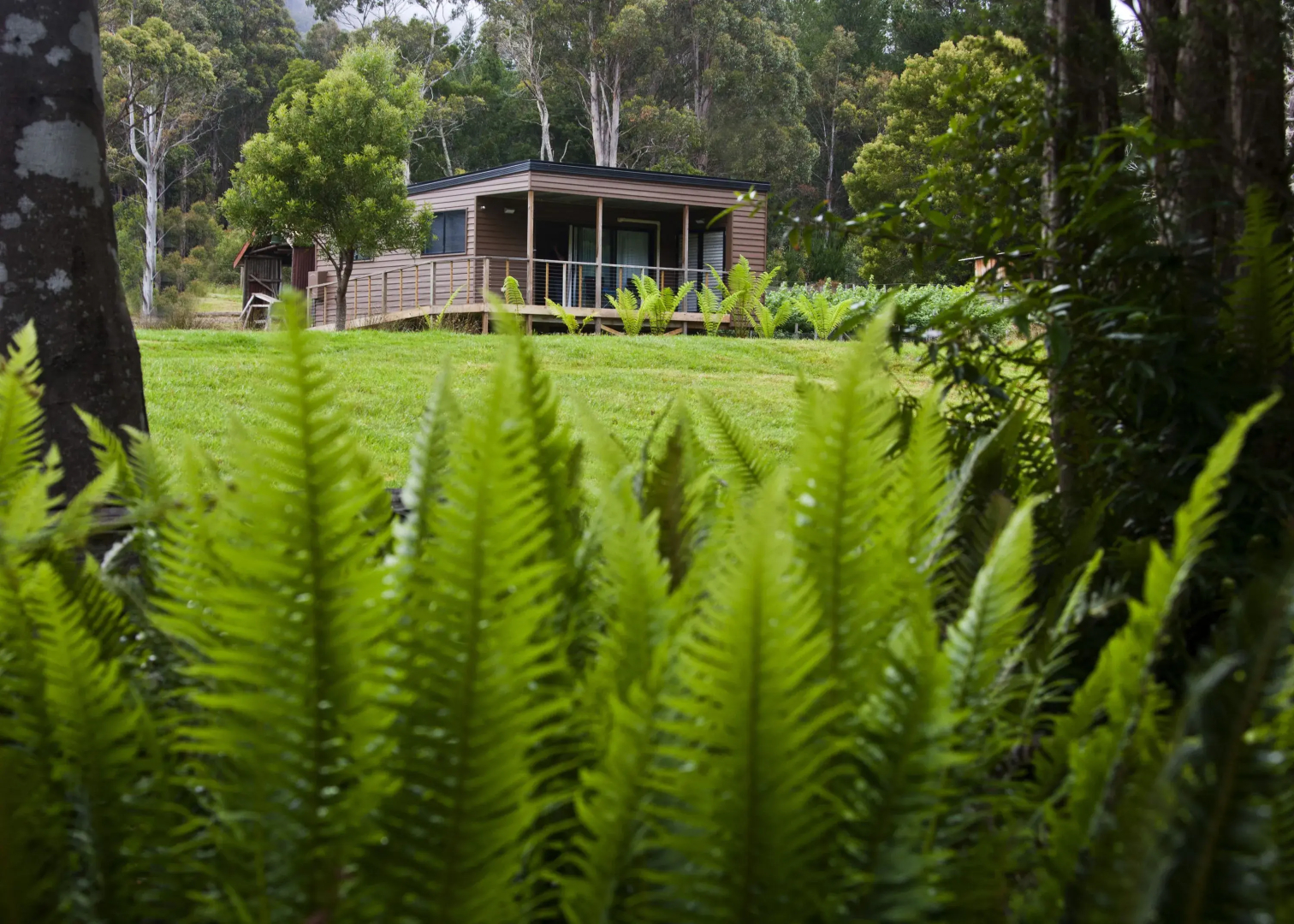 Tyenna River Cottage