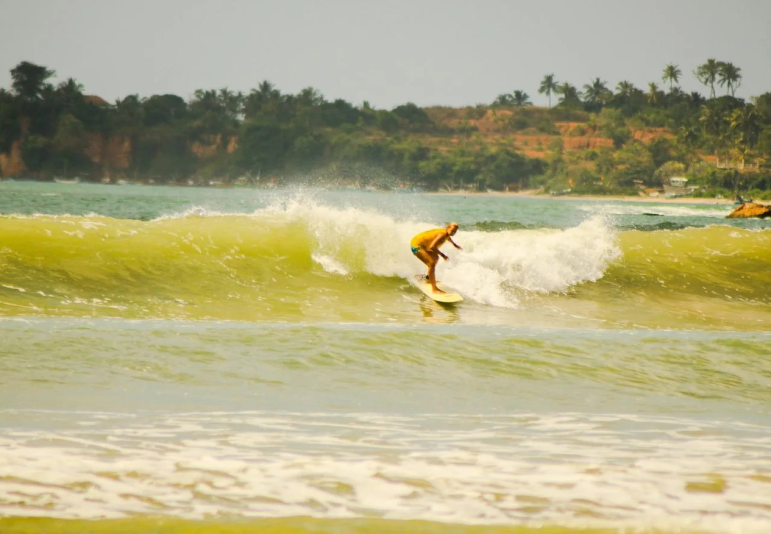 SeaView Paradise Inn