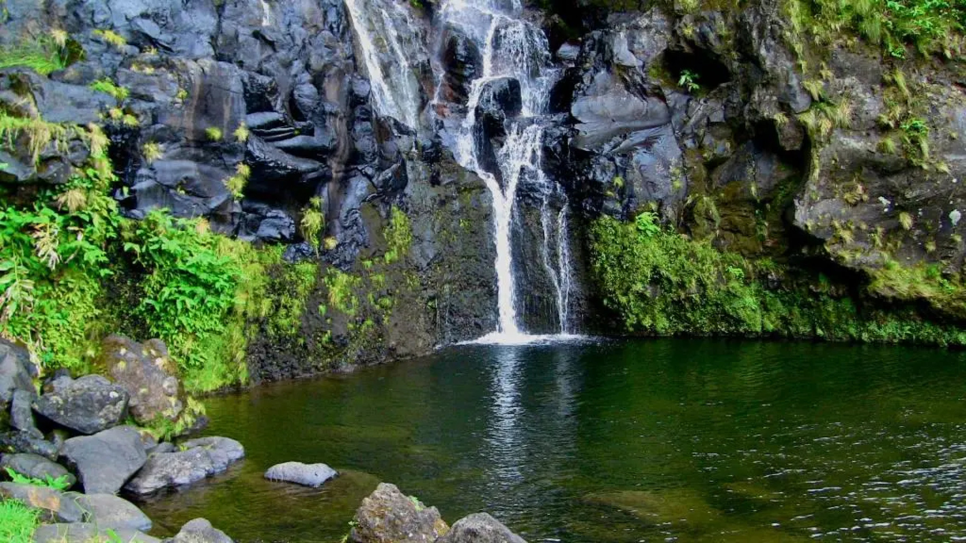 Alojamentos Flores Island