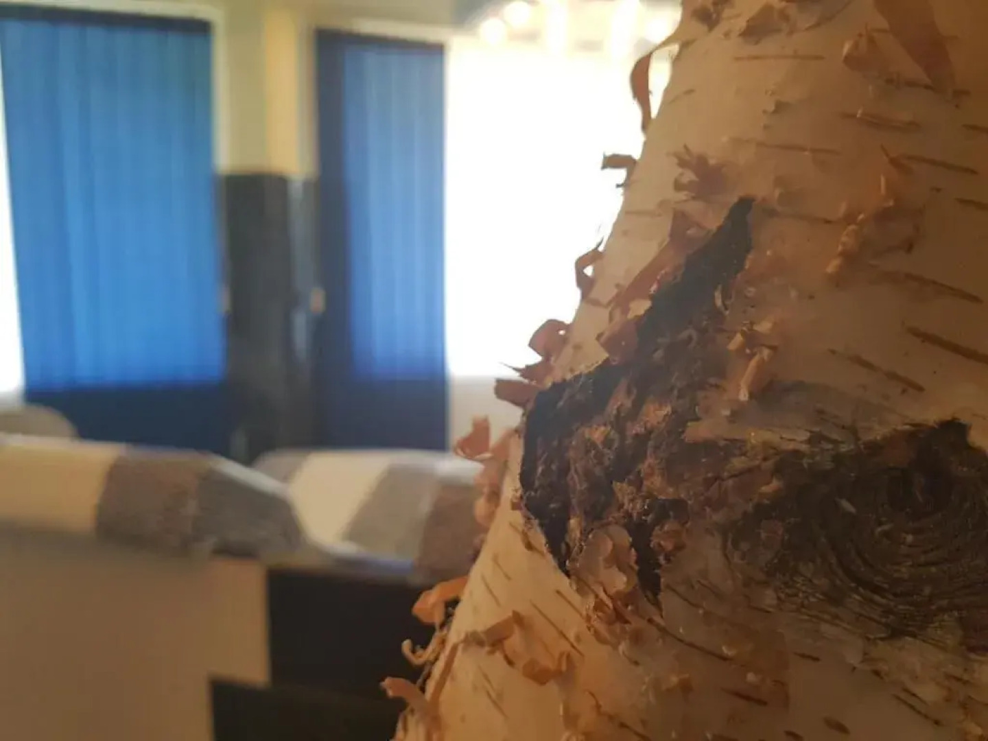 Hotel zur Engelsburg