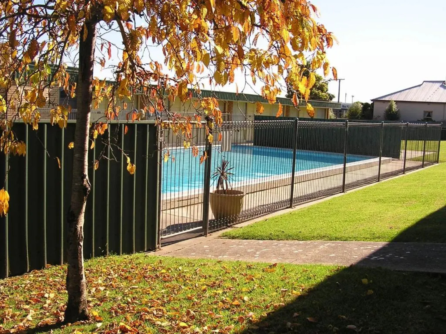 Sandpipers @ Millicent