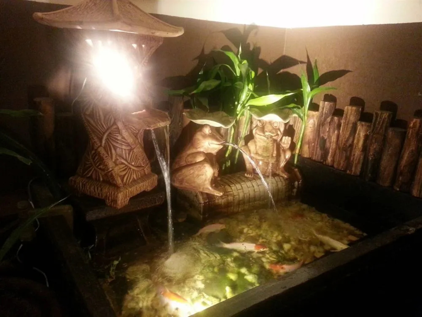 Camellia Budget Inn