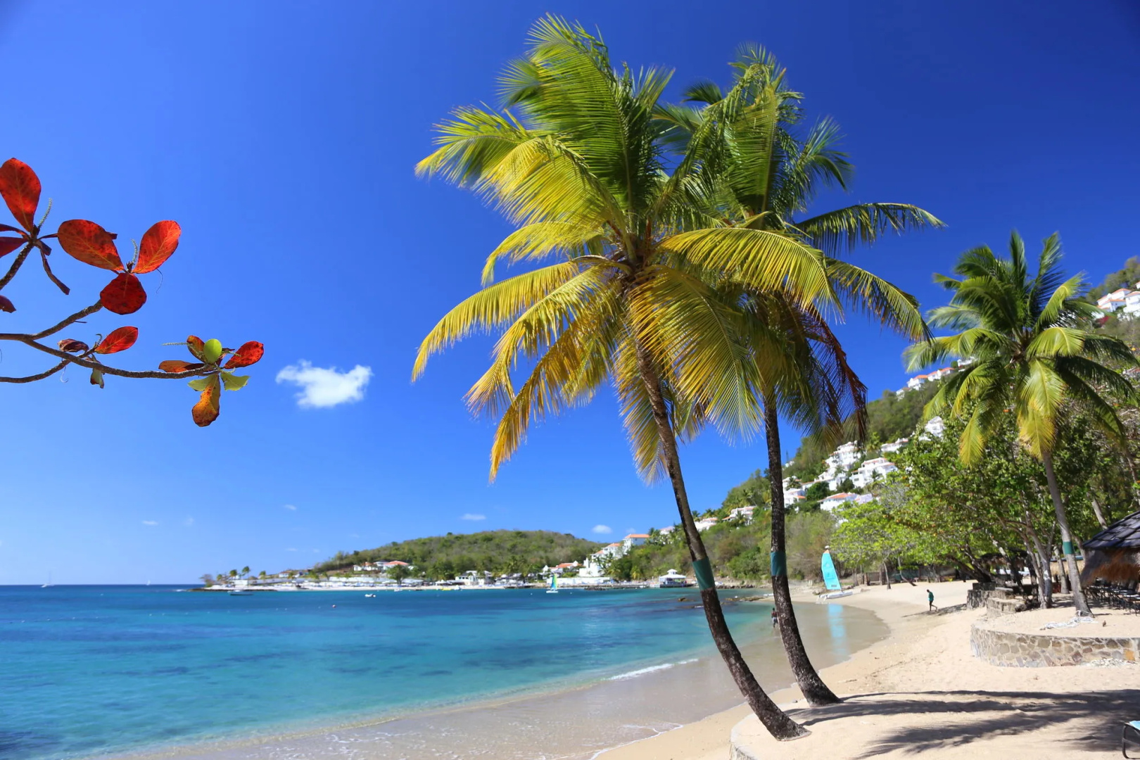 East Winds Saint Lucia