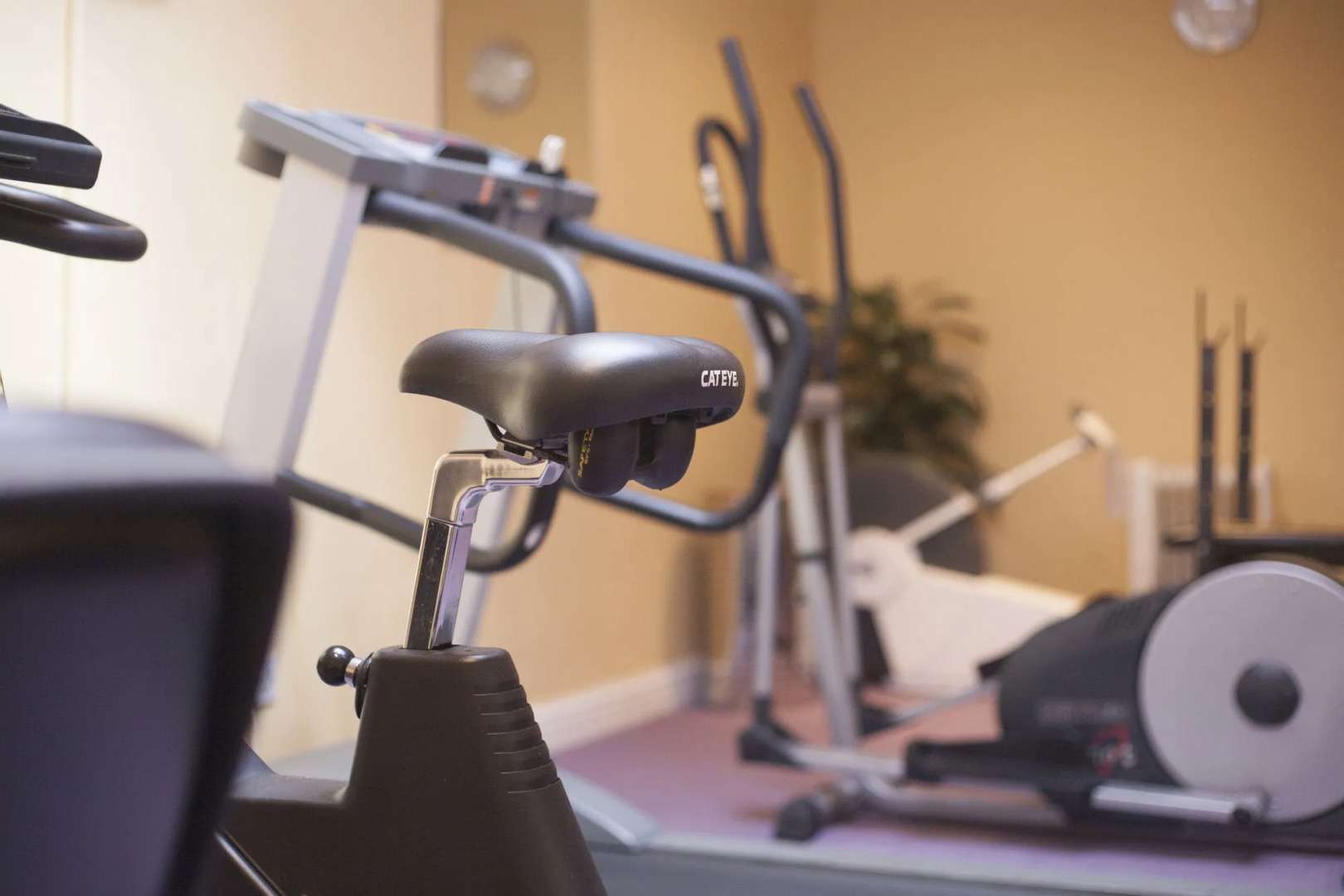 The White Swan Hotel