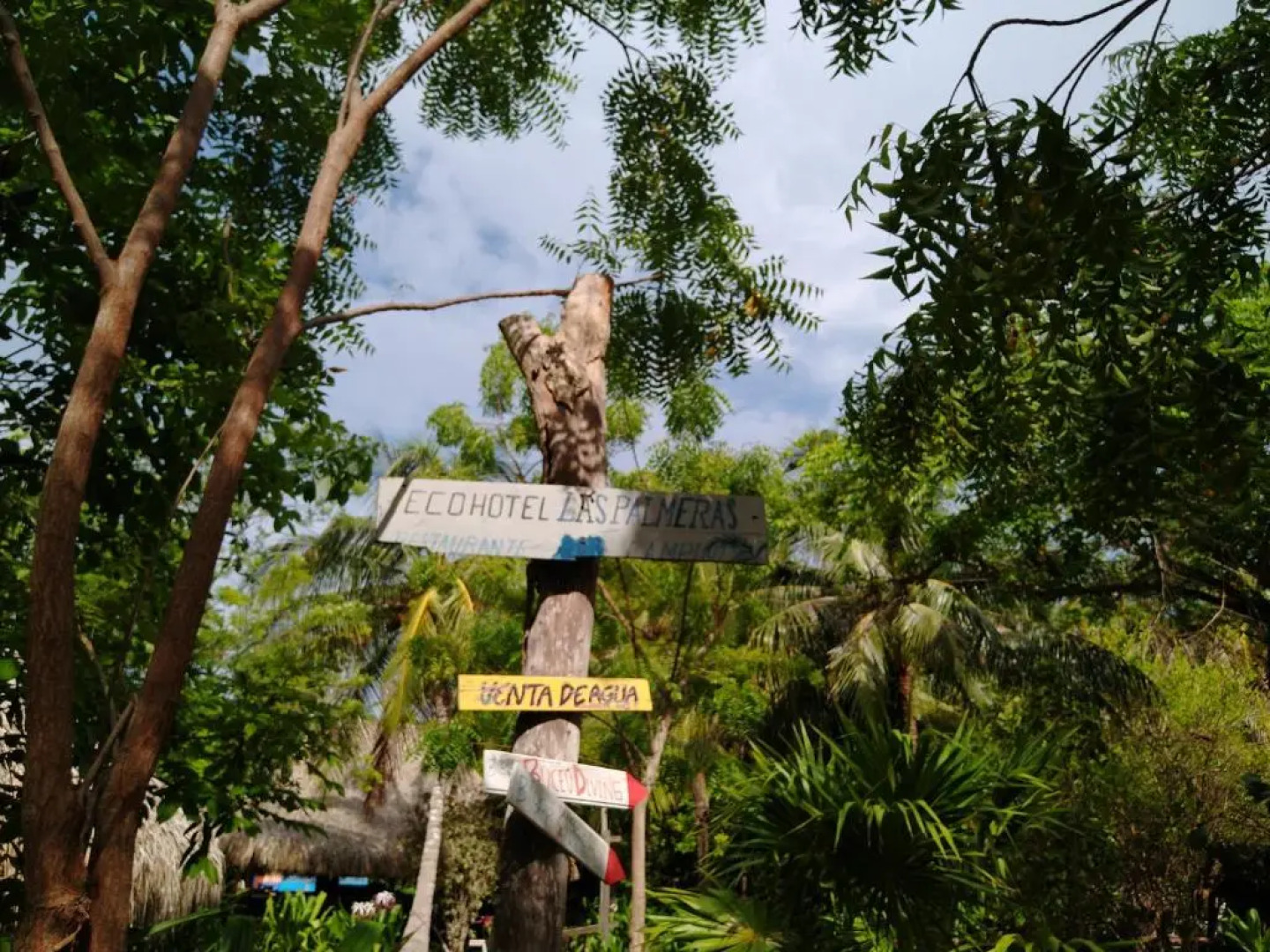 Eco Hotel Las Palmeras