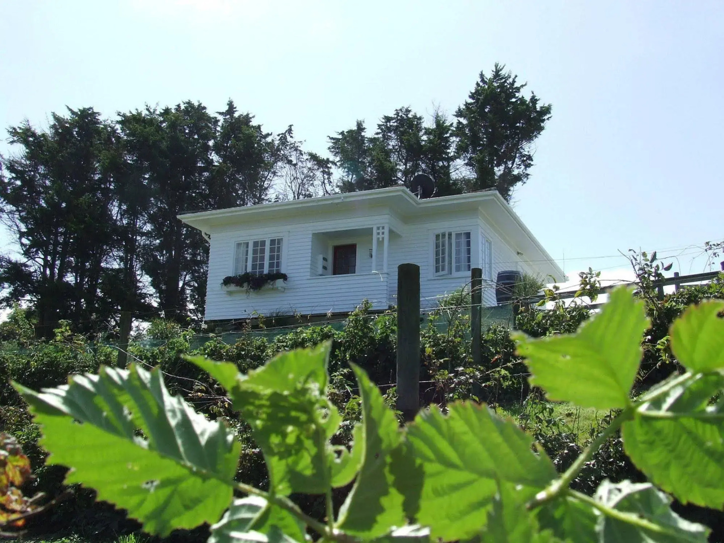 Runciman Berries and Emus B&B