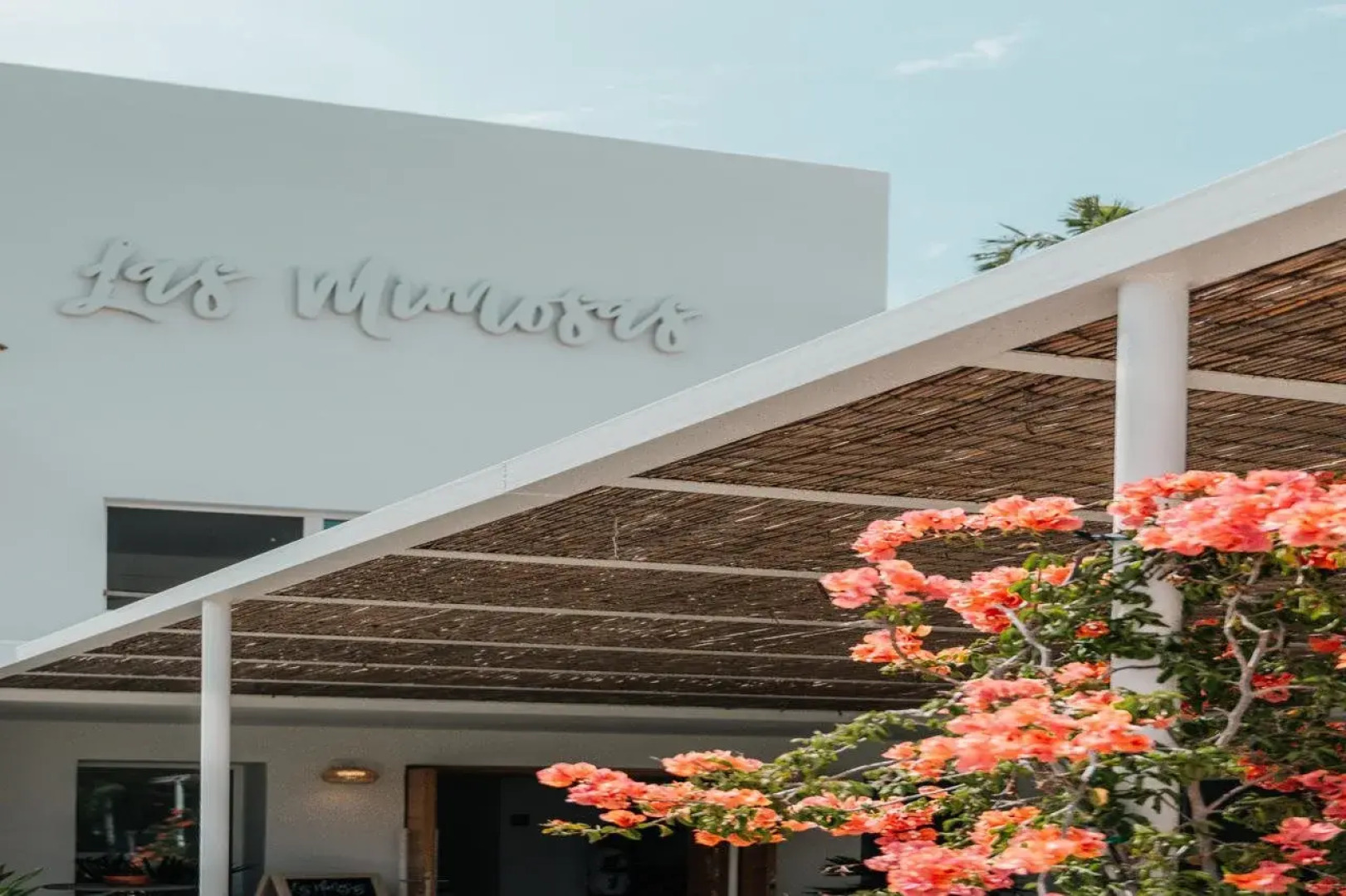 Hotel Boutique & Spa Las Mimosas Ibiza