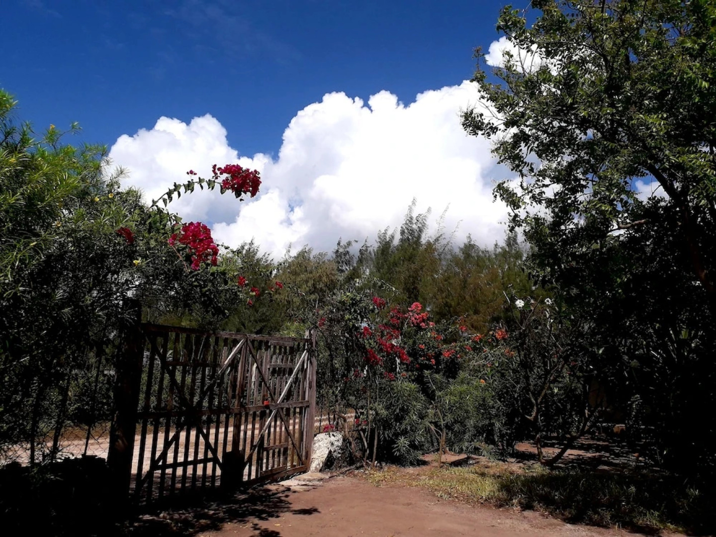 Naomi's Boutique Villa