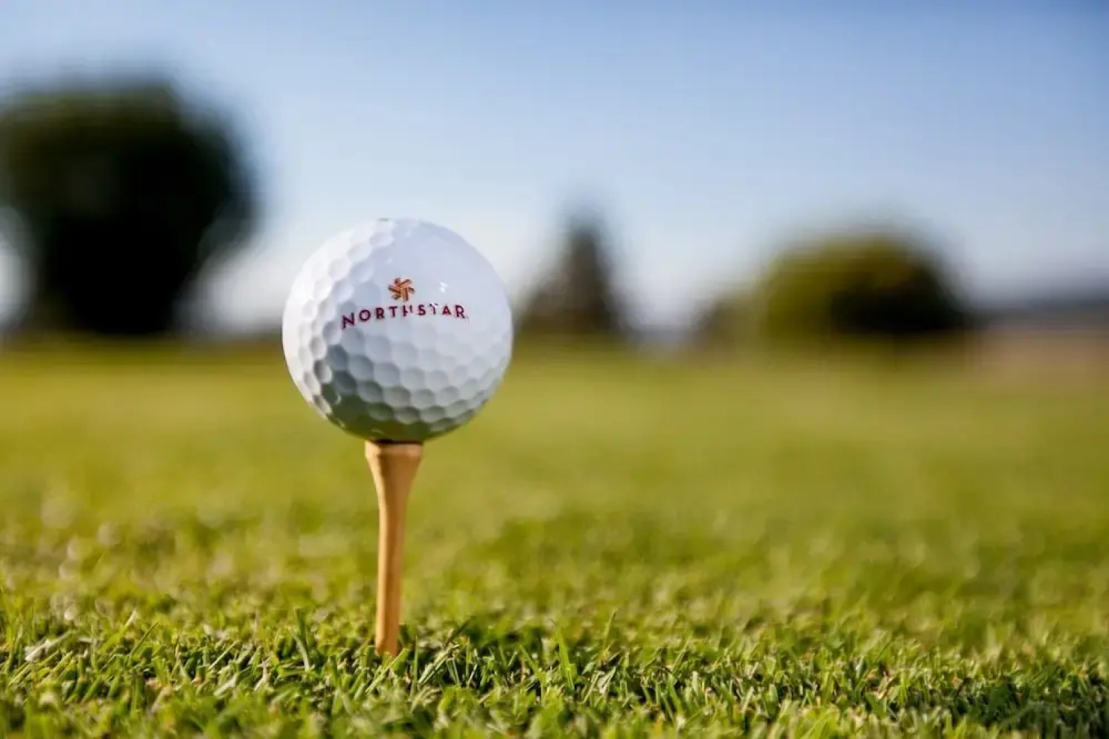 Modern Hotel-Style Studio - Timber Creek Lodge #210 by RedAwning