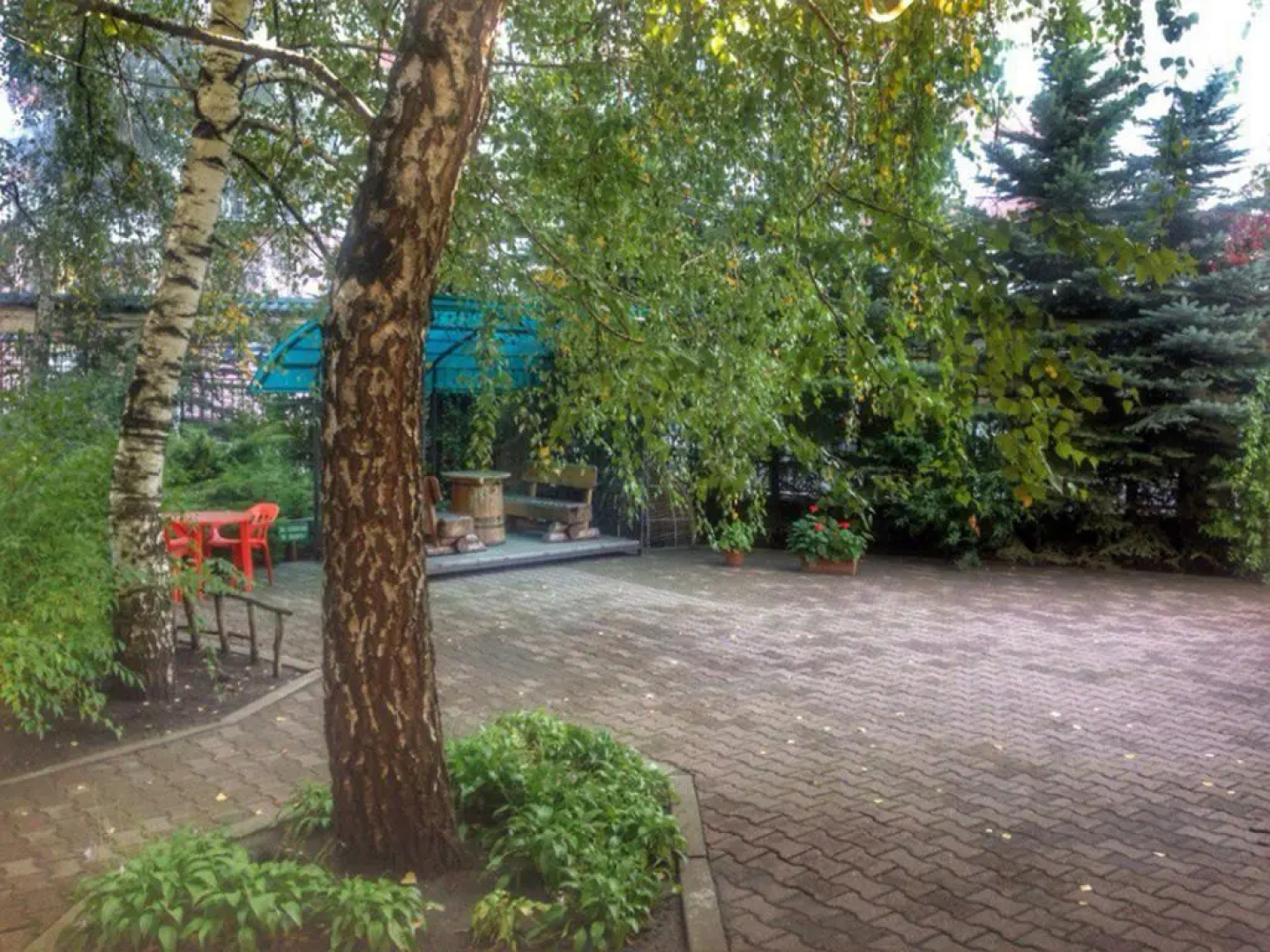 Oasis Ug