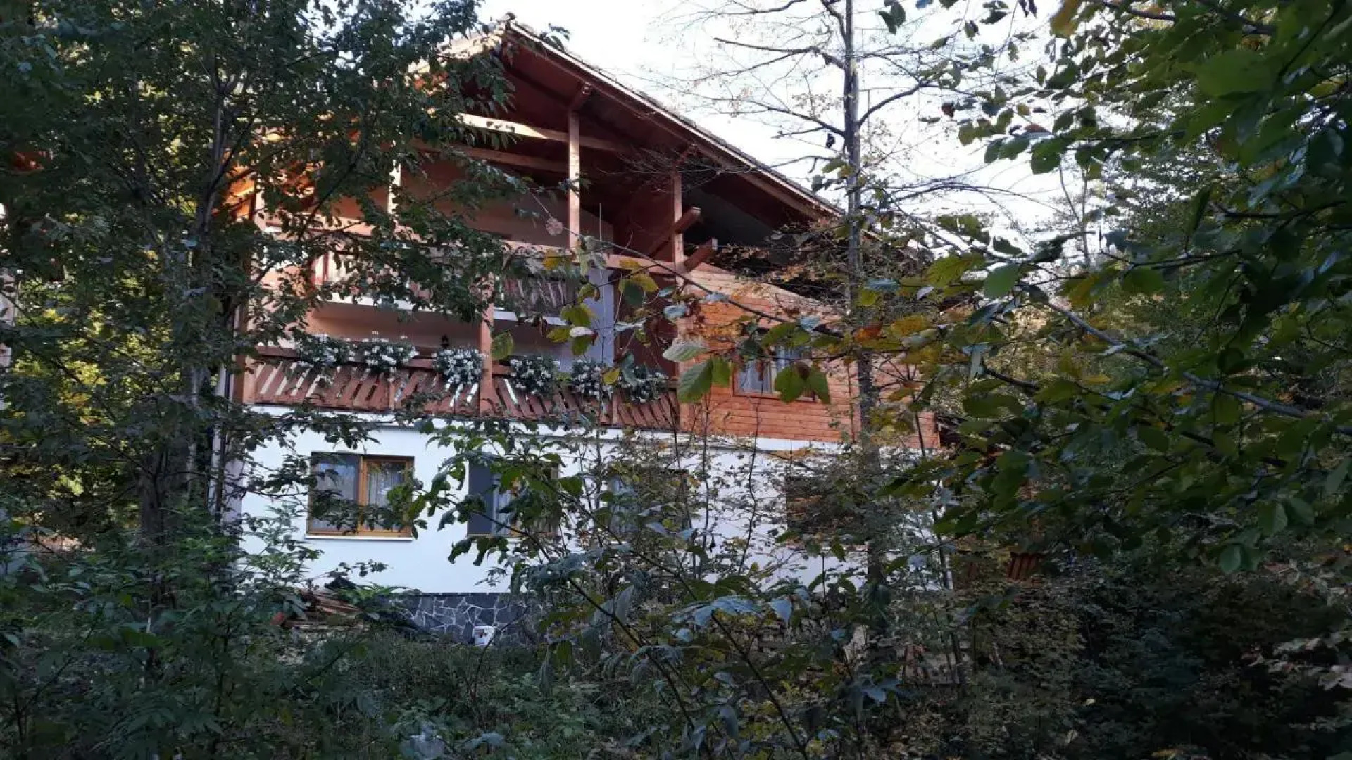 Pintea Chalet