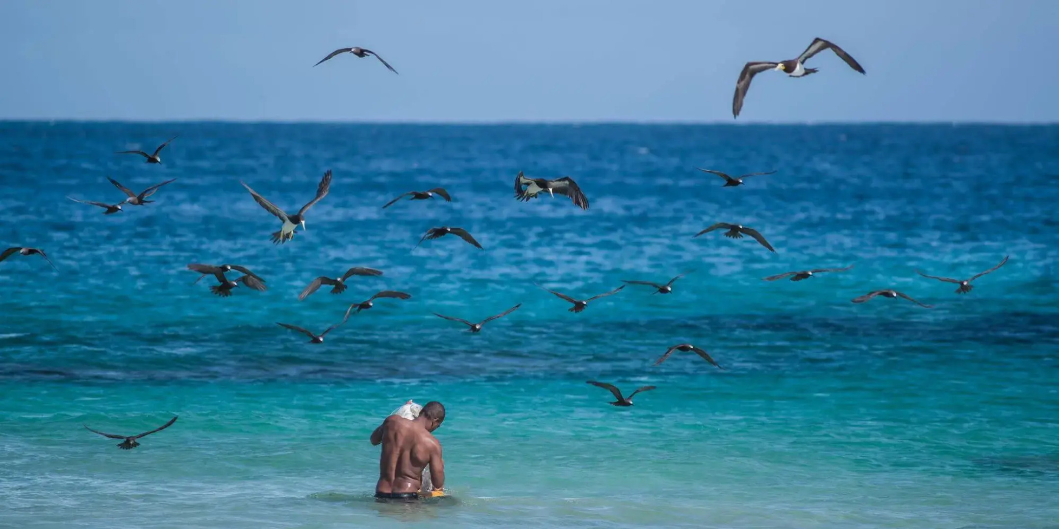 Teju-Açu Eco Pousada