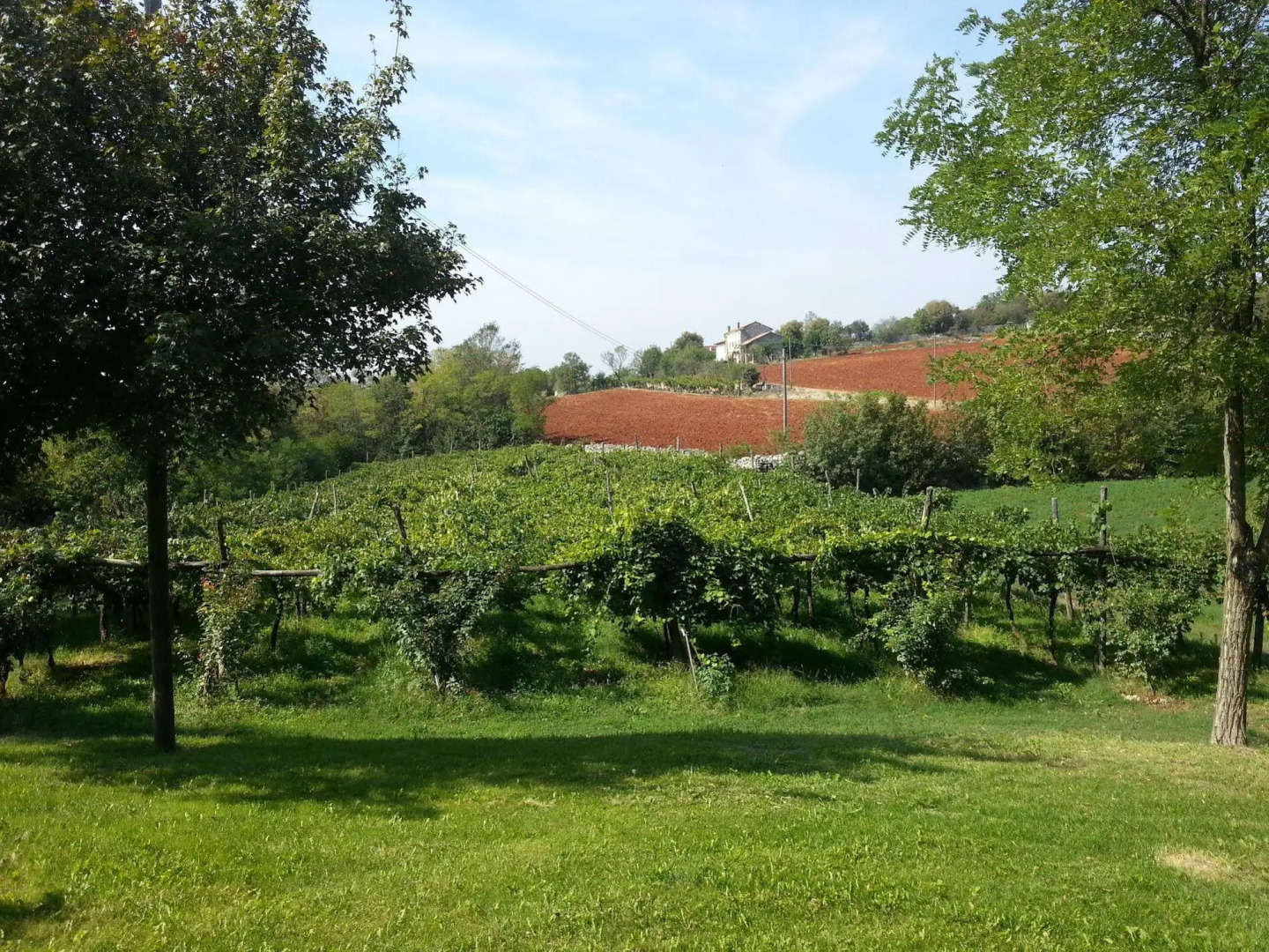 Locanda Botteghino Risorto