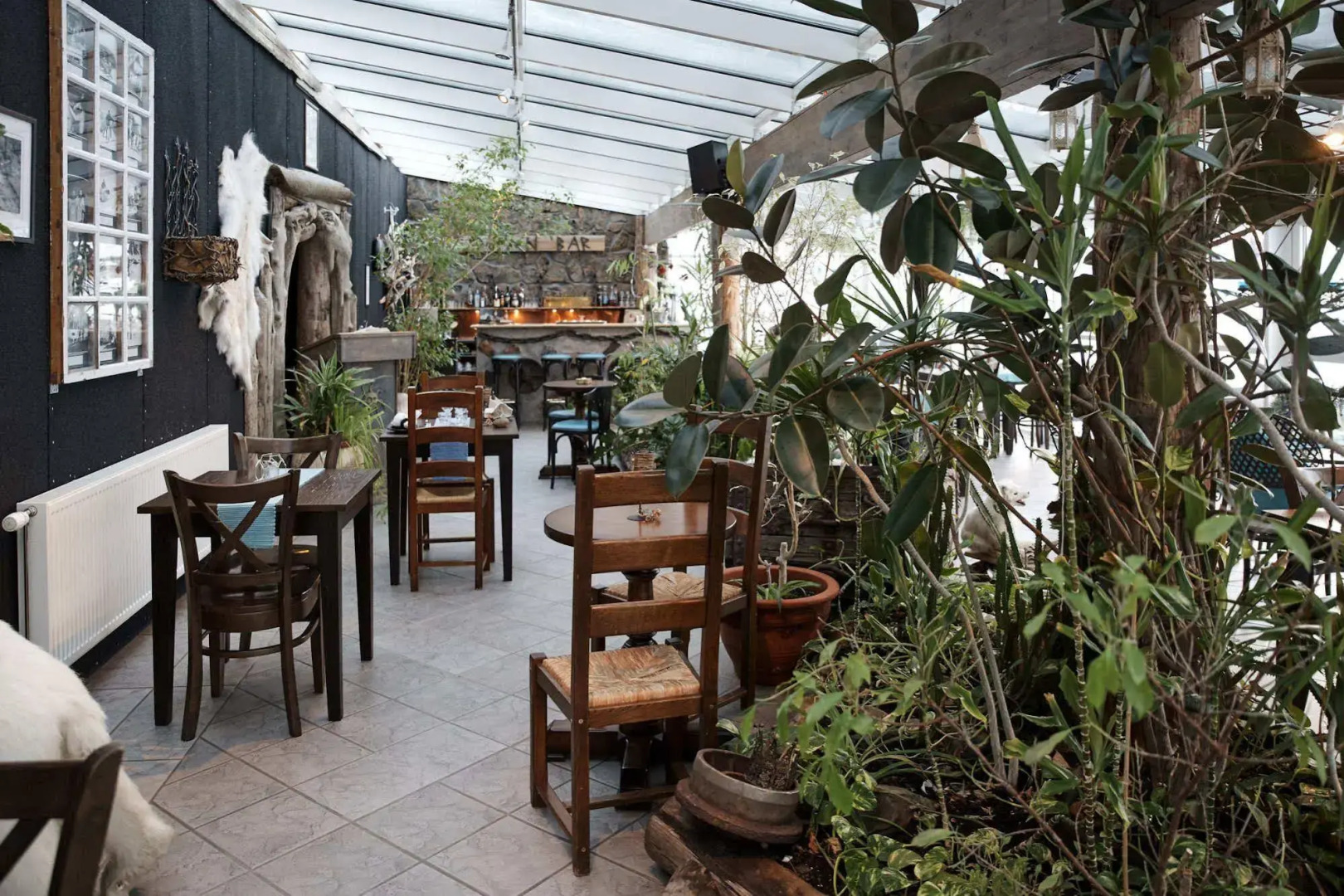 Mary-Ann's Polarrigg