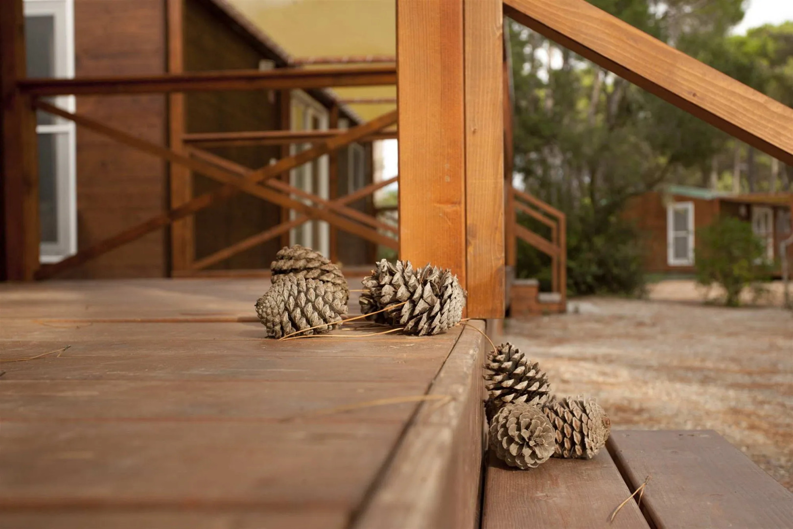 PuntAla Camp & Resort