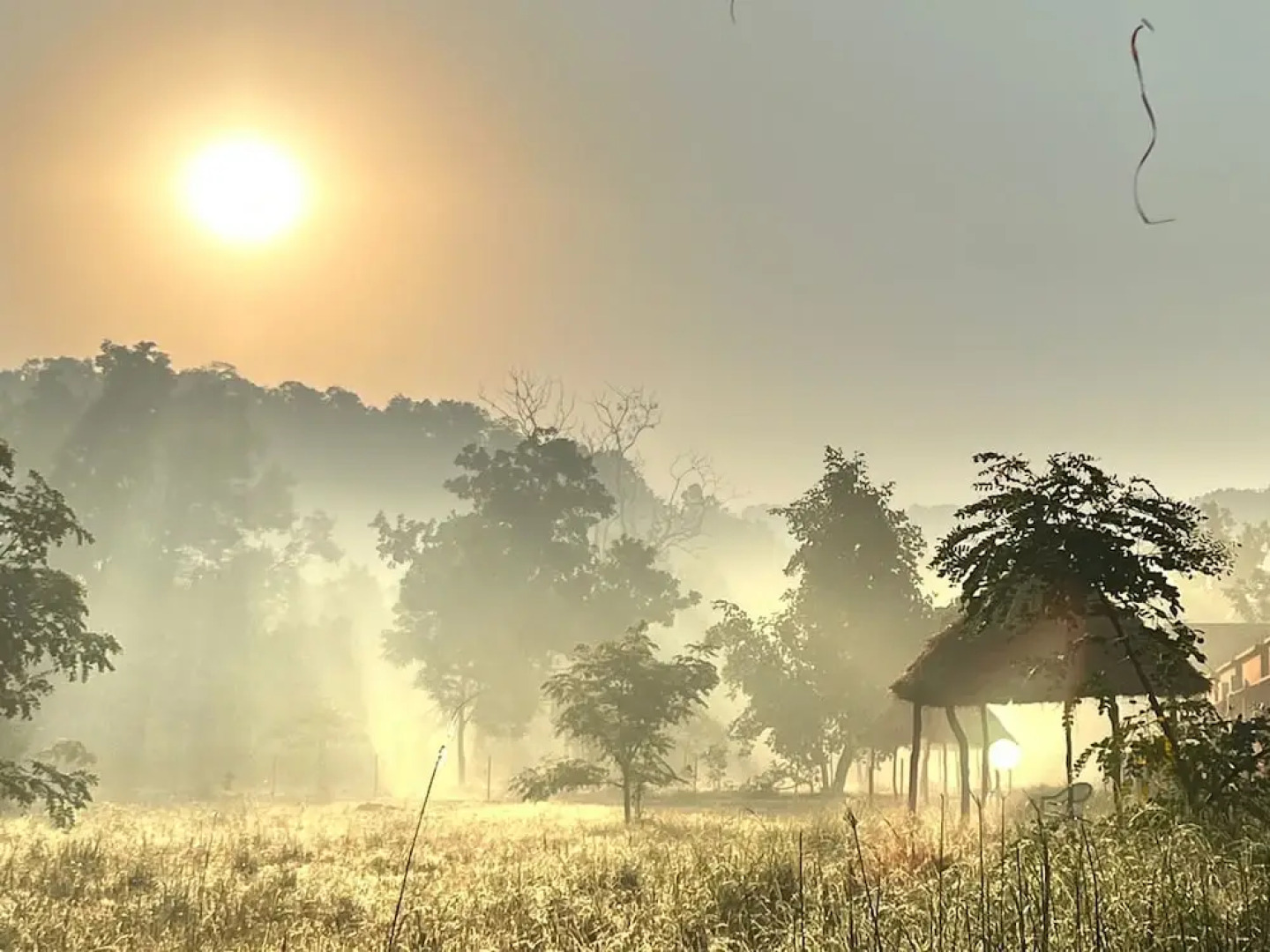 The Tiger Valley Resort