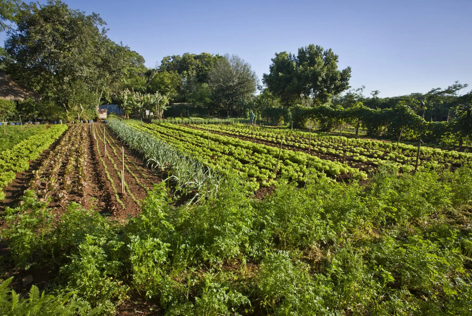 Bourbon Thermas Eco Resort Cataratas do Iguaçu