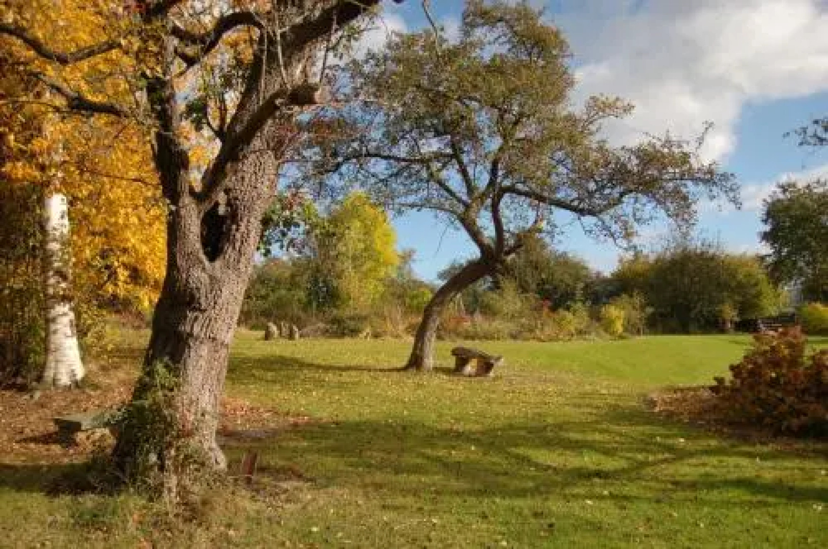 The Farm Snead Bed & Breakfast