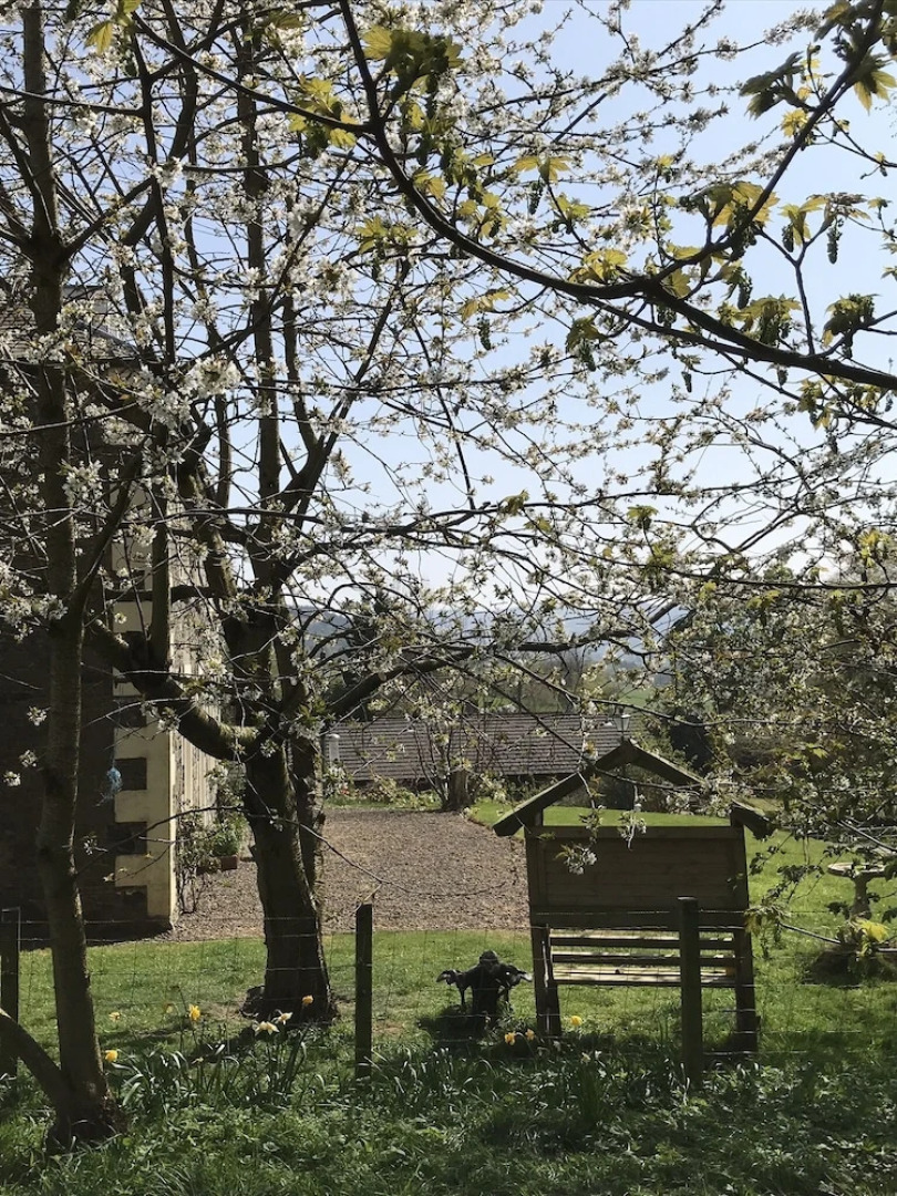 Winkston Courtyard Cottages