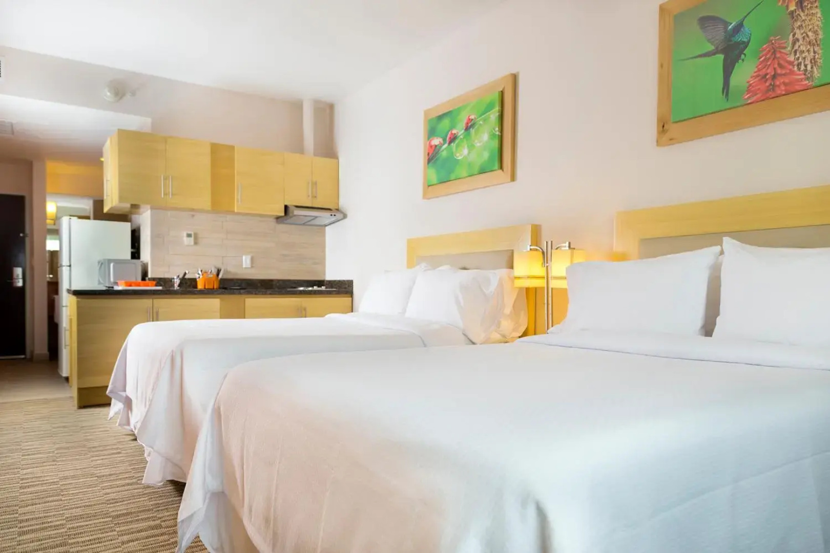 Excellence Express & Suites