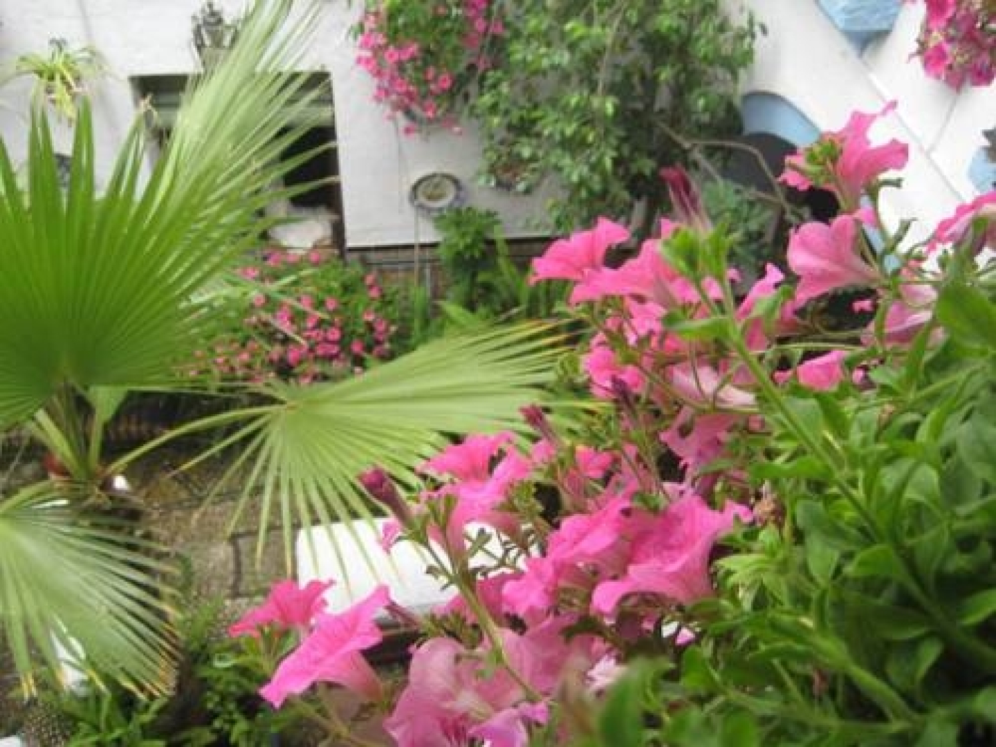 Senses&Colours Séneca Hostal