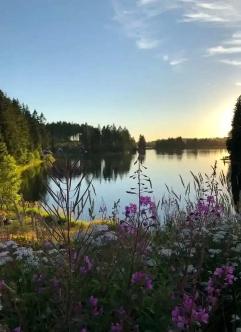 The Parents' House Comfortable Holiday Residence