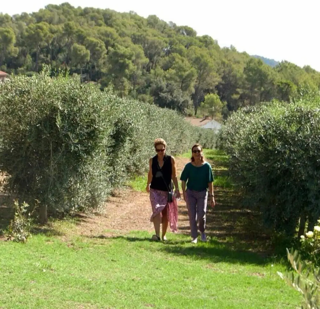 Masia Can Viver - Olive oil tourism B&B