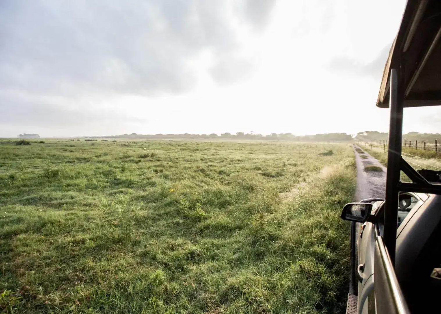 Royal Thonga Safari Lodge