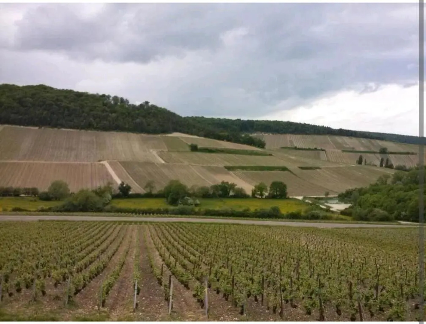 Les Chambres Touristique Julea