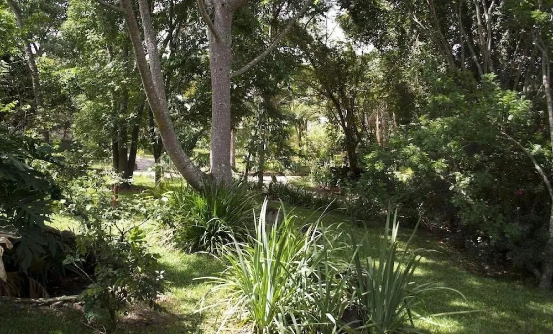 Pousada Serra da Luz